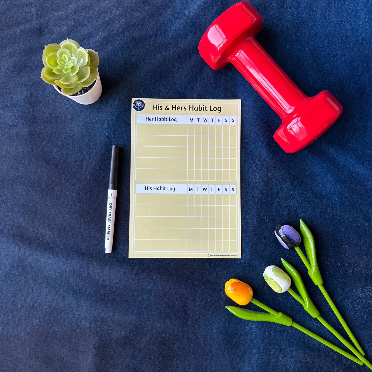 His & Hers Habit Log