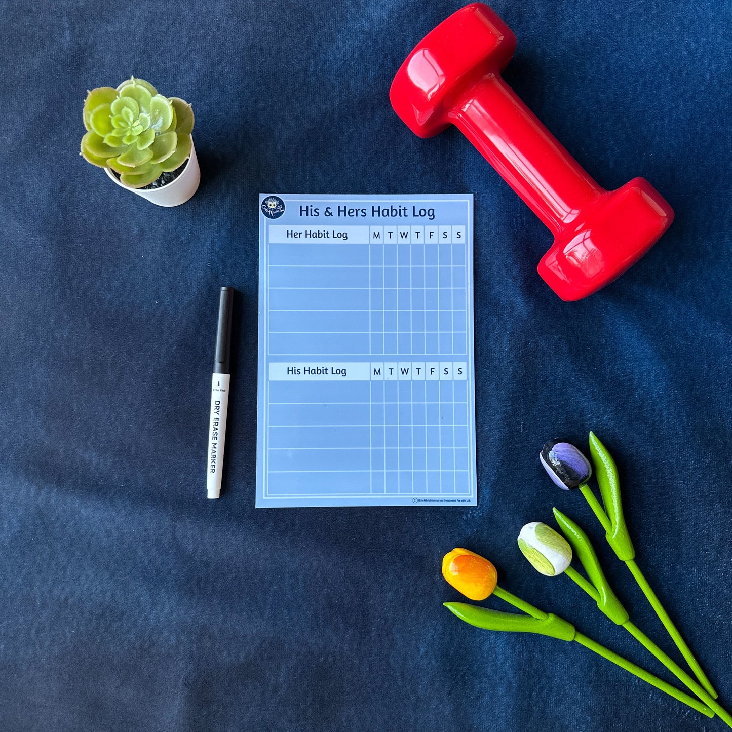 His & Hers Habit Log