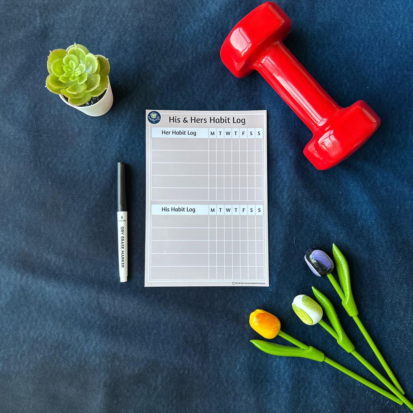 His & Hers Habit Log